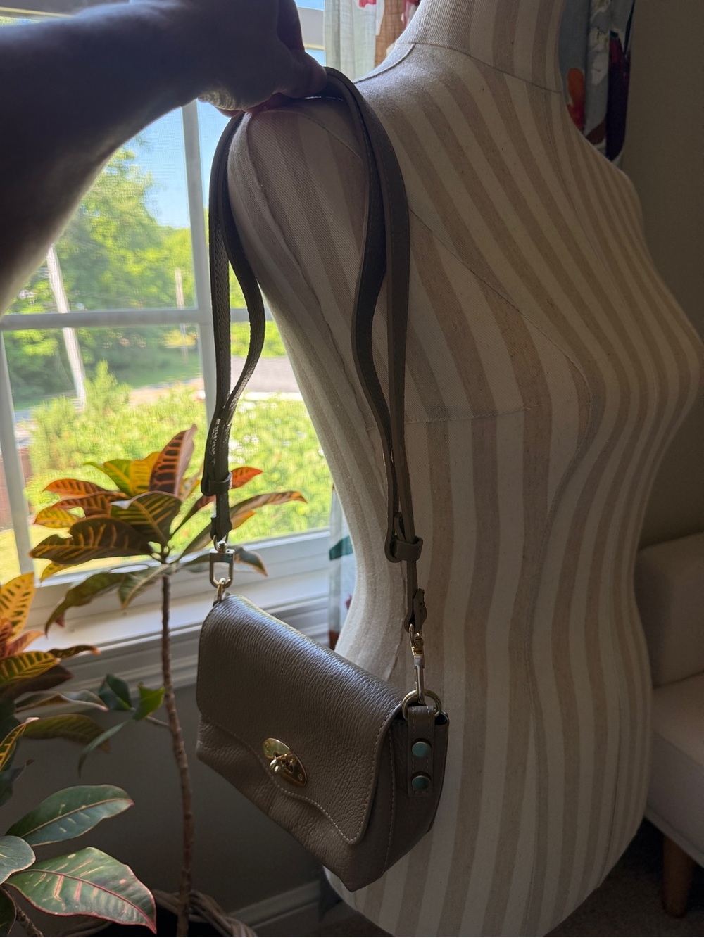 Apatchy London Maddie Taupe Leather Crossbody Bag with Gold Hardware - Picture 6 of 13